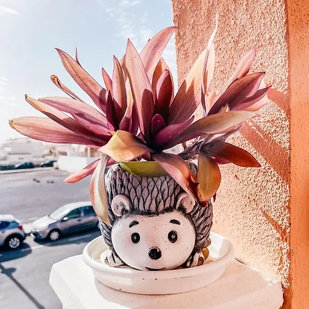 Esmeralda Nani Planta1 Castillo Apartamento