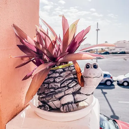 Apartman Esmeralda Nani Planta1 Castillo Caleta De Fuste